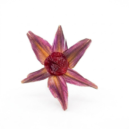 Broches