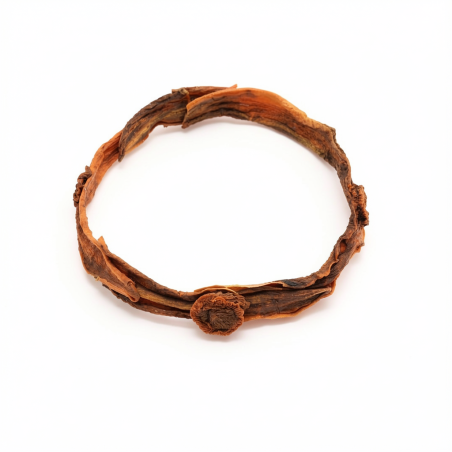 Collier Ras-de-cou BARABASSE Aimanté à fleurs en Carottes orange Vieilli Stabilisé