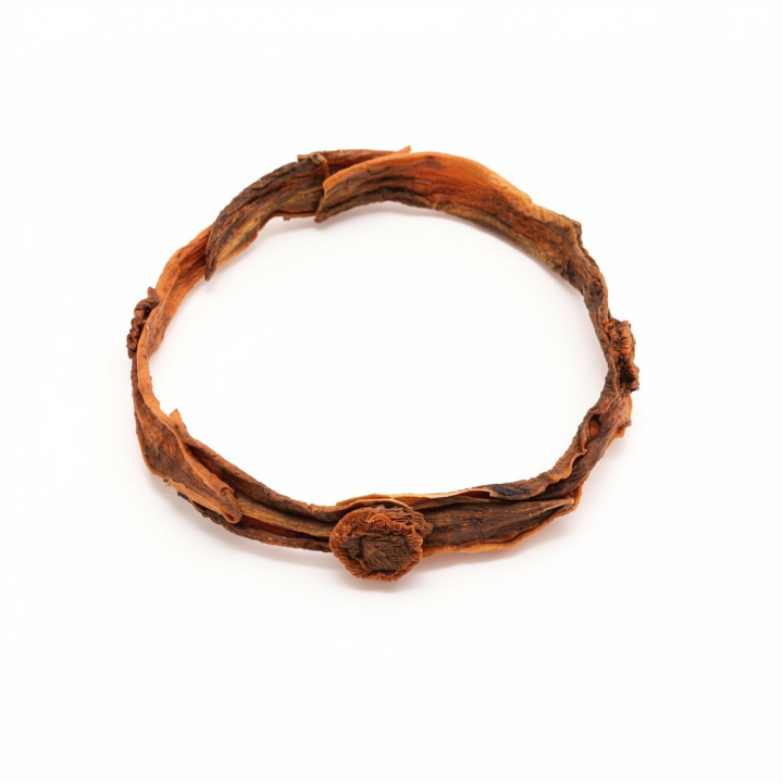 Collier Ras-de-cou BARABASSE Aimanté à fleurs en Carottes orange Vieilli Stabilisé