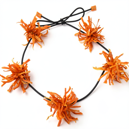 Couronne RAFIKI Pompon de Carotte orange Stabilisé