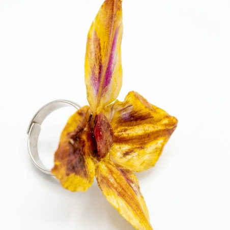 Bague SAHYA Feuille d'artichaut et son Oignon rouge Stabilisés