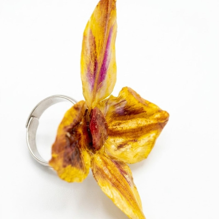 Bague SAHYA Feuille d'artichaut et son Oignon rouge Stabilisés