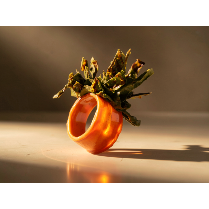 Bague YSORIA Carotte Orange et pompon de Chou vert Stabilisés