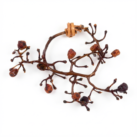 Bracelet ENVOLÉE Raisin vieilli et ses perles de Carottes Stabilisés