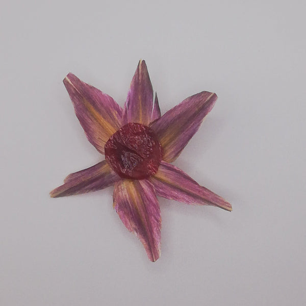 Broche FLEUR feuille Artichaut et son oignon rouge stabilisés