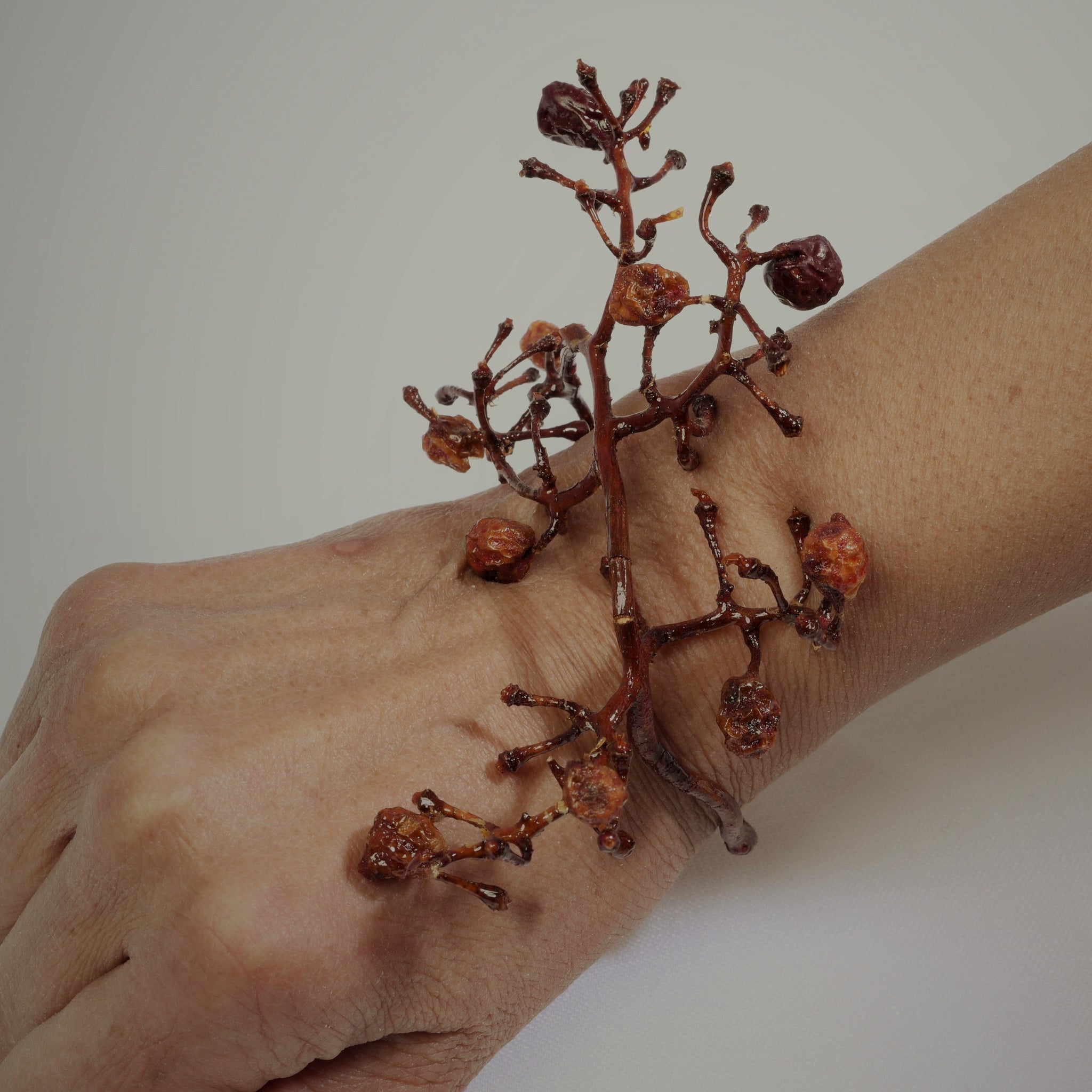Bracelet Envolée de raisin vieilli et ses perles de carottes